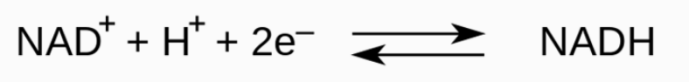 NAD的今生2.png