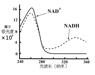 NAD的今生3.png