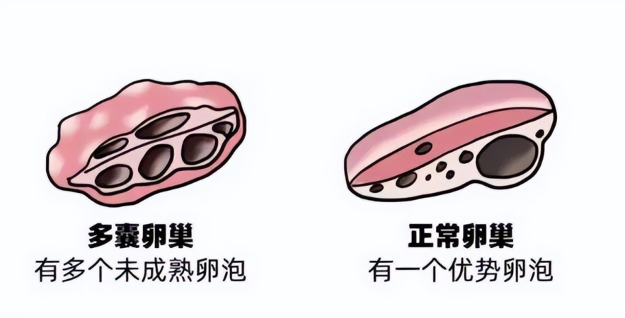 1755841093967410.png 知识分享图片2.png