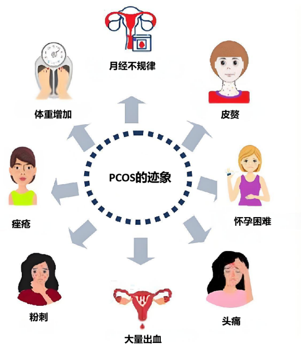 1755841219813650.png 知识图片3.png